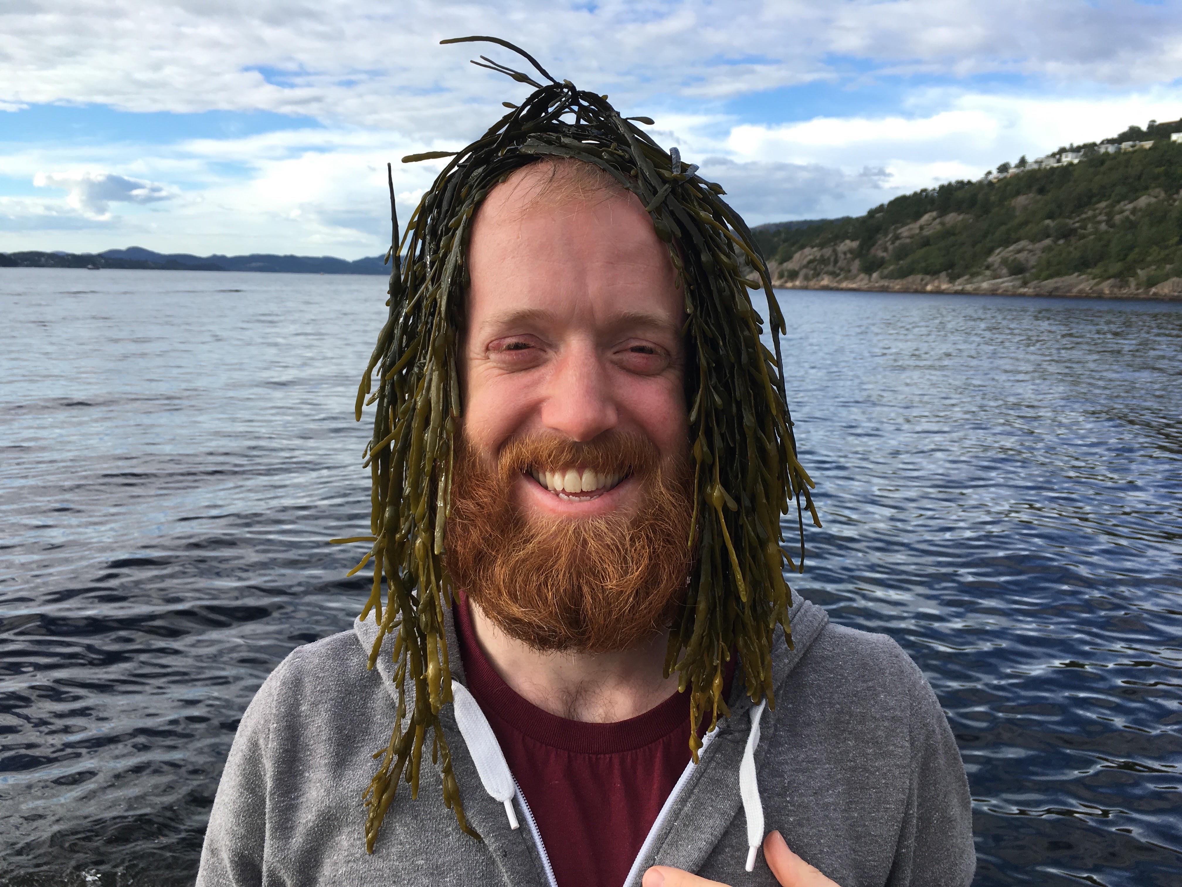 Seaweed